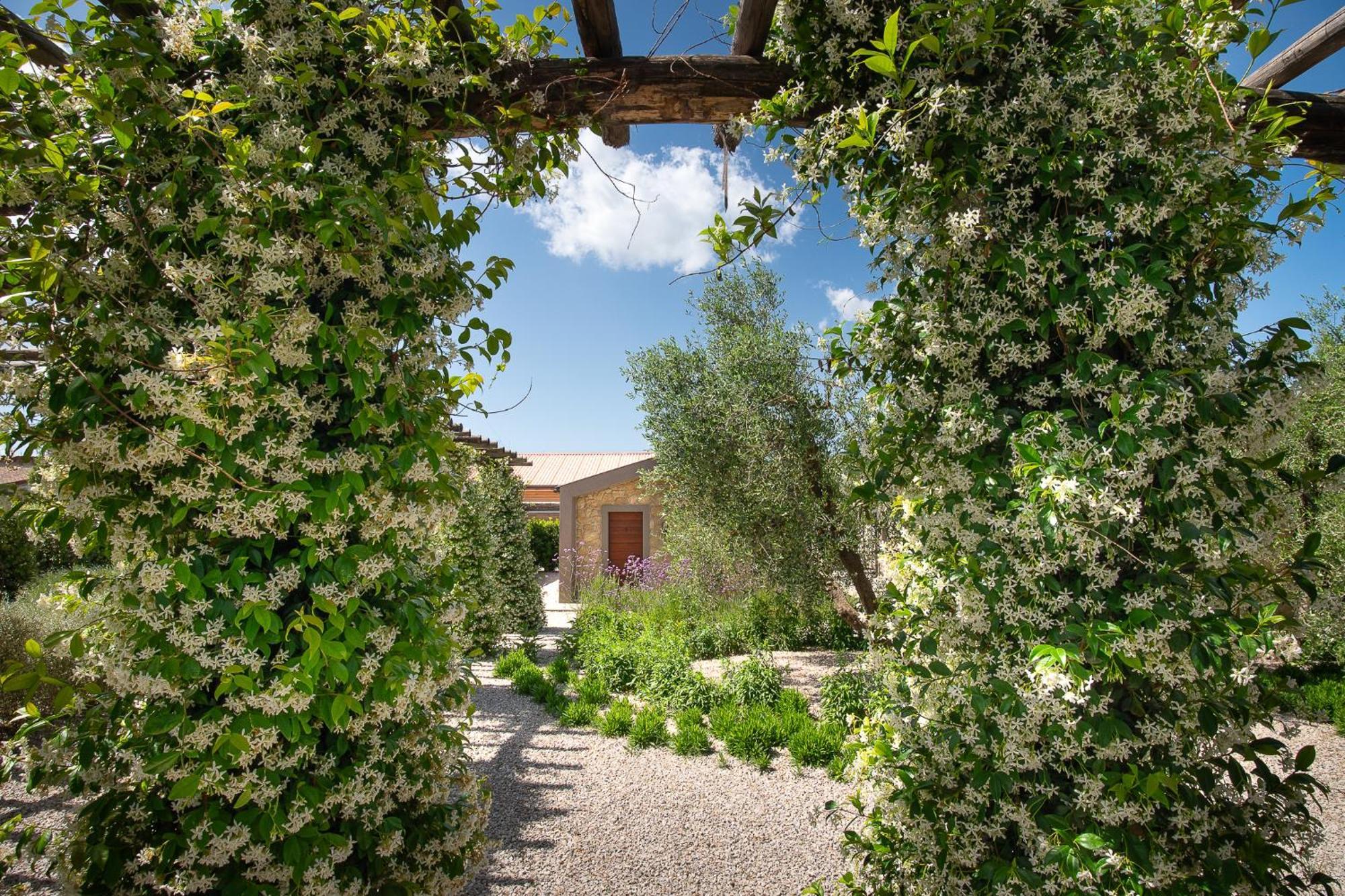 Agriturismo Resort Il Foionco Масса-Мариттіма Екстер'єр фото